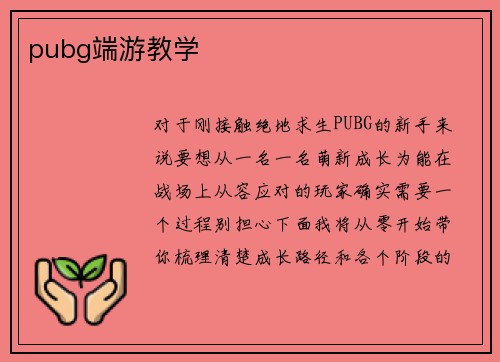 pubg端游教学